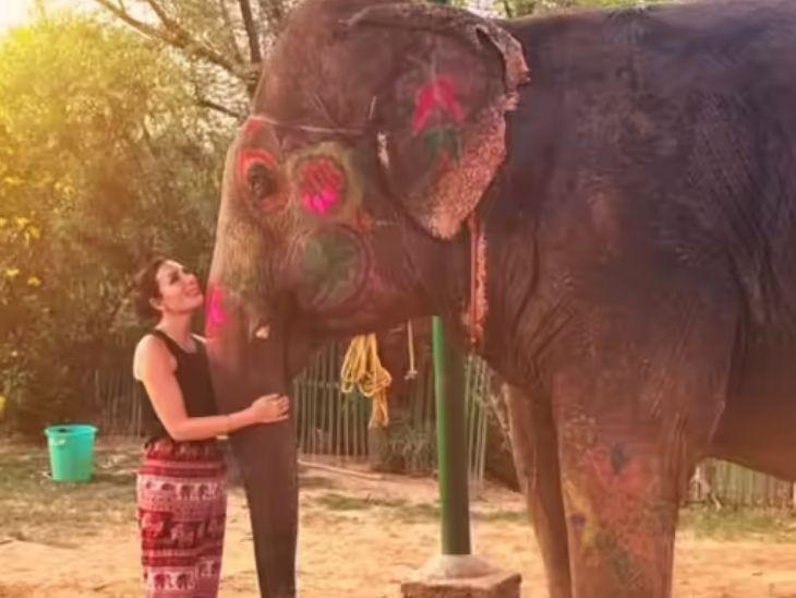 <p><span style="color: rgb(224, 62, 45);" data-mce-style="color: rgb(224, 62, 45);">‘ભારત અદ્ભુત છે’, પહેલાં વિવાદિત નિવેદનો,</span> હવે ખુલ્લેઆમ તારીફ – ટ્રમ્પ સમર્થક લોરા લૂમરના બદલાયા સુર</p>