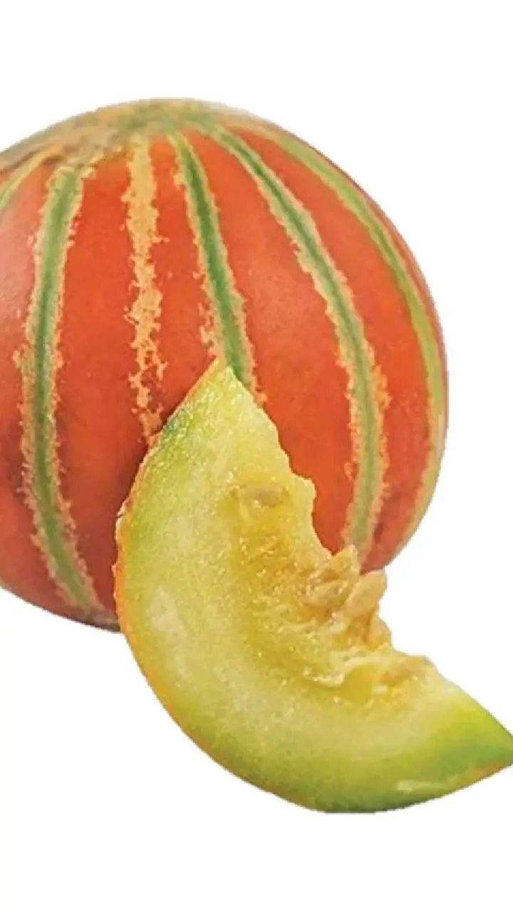 <p><span style="color: rgb(224, 62, 45);" data-mce-style="color: rgb(224, 62, 45);"><strong>કાચી કે મીઠી? </strong></span>ટેટી પસંદ કરવાની આ અદભૂત રીતો તમારા પૈસા વસૂલ કરી દેશે</p>