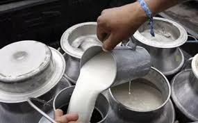 <p><strong>આંધ્ર પ્રદેશમાં નકલી દૂધનો કહેર: <span style="color: rgb(224, 62, 45);" data-mce-style="color: rgb(224, 62, 45);">16 ના મોત, અનેકની હાલત ગંભીર</span></strong></p>