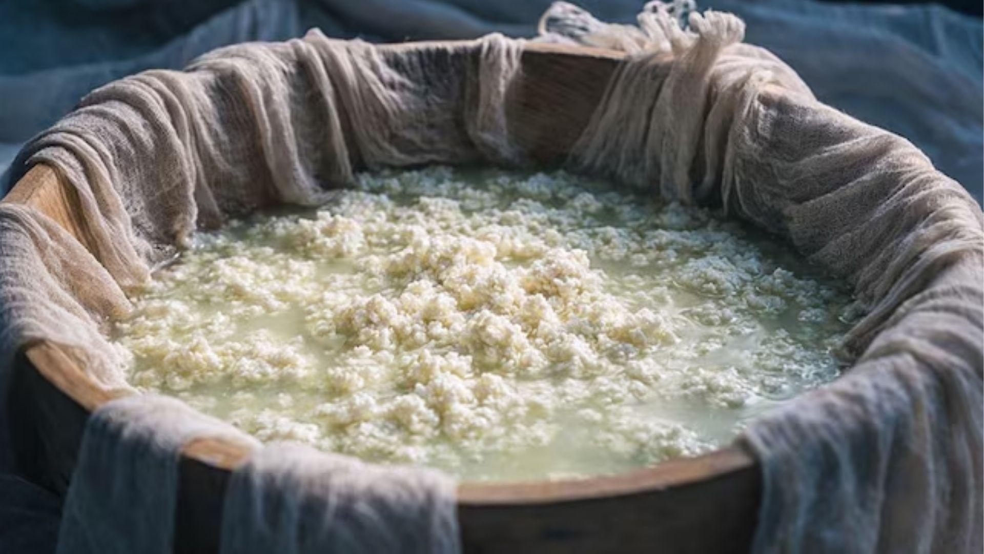 <p><span style="color: rgb(224, 62, 45);" data-mce-style="color: rgb(224, 62, 45);">ગરમીમાં વારંવાર ફાટી જાય છે દૂધ?</span> ઉકાળતી વખતે આ એક વસ્તુ નાખો, લાંબા સમય સુધી રહેશે તાજું</p>