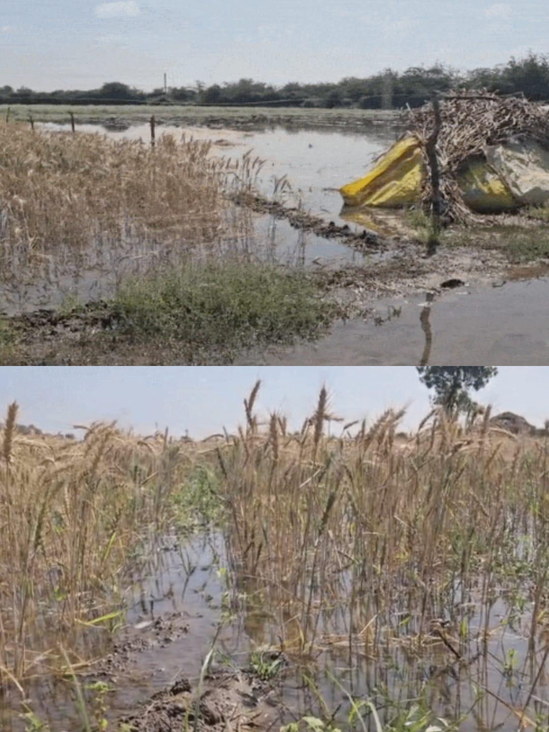 <p><span style="color: rgb(224, 62, 45);" data-mce-style="color: rgb(224, 62, 45);"><strong>પાણી નહીં, આ તો ખેડૂતોની આશા વહી ગઈ!</strong></span> સુઈગામના કોરેટીમાં કેનાલ તૂટતા ભારે નુકસાન</p>