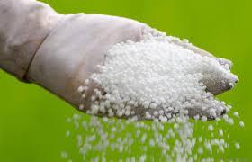 <p><strong>યુધ્ધને પગલે ભારતના યુરિયા પ્લાન્ટ્સમાં ઉત્પાદન અડધું થયું, <span style="color: rgb(224, 62, 45);" data-mce-style="color: rgb(224, 62, 45);">ખાતરની તંગીનું જોખમ !</span></strong></p>