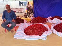 <p><strong>ધ્રાંગધ્રા: લાલ મરચાના ભાવમાં ભડકો, <span style="color: rgb(224, 62, 45);" data-mce-style="color: rgb(224, 62, 45);">ગૃહિણીઓનું બજેટ ખોરવાયું</span></strong></p>