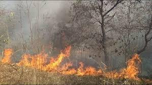 <p><strong><span style="color: rgb(224, 62, 45);" data-mce-style="color: rgb(224, 62, 45);">નસવાડીના નારધાના જંગલોમાં ભભૂકી આગ:</span> હજારો વૃક્ષો બળીને ખાખ, વન વિભાગની કામગીરી સામે સવાલ</strong></p>