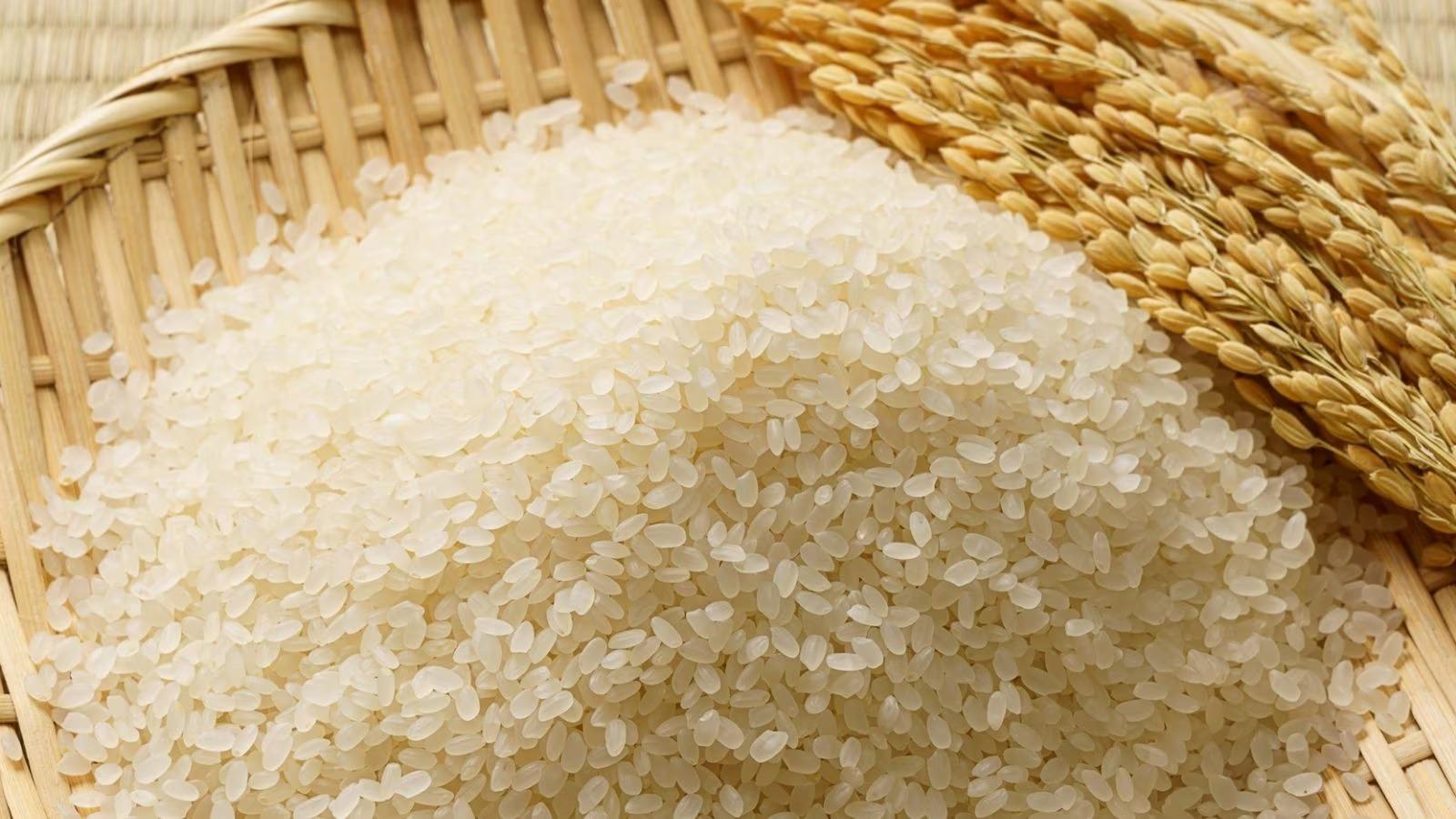 <p><span style="color: rgb(224, 62, 45);" data-mce-style="color: rgb(224, 62, 45);"><strong>શું તમે ક્યારેય વિચાર્યું છે કે ચોખાની કિંમત પણ હજારોમાં હોઈ શકે?</strong></span> જેનું નામ 'ગિનિસ બુક ઓફ વર્લ્ડ રેકોર્ડ'માં છે નોંધાયેલું,  જાણો તેની ખાસિયતો... </p>