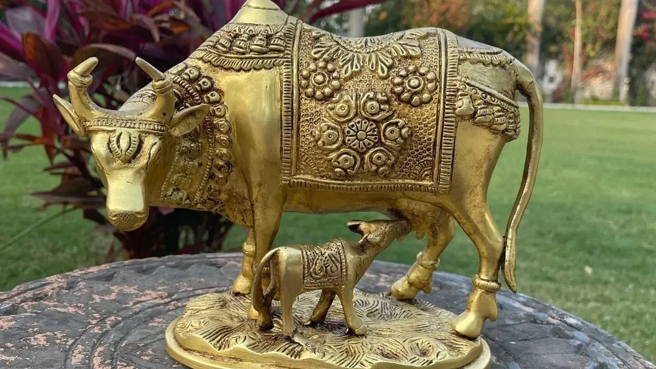 <p><span style="color: rgb(224, 62, 45);" data-mce-style="color: rgb(224, 62, 45);"><strong>નસીબ ચમકાવી દેશે કામધેનુ ગાયની મૂર્તિ...</strong></span>જાણો ઘરમાં રાખવાની સાચી દિશા અને તેના ચમત્કારિક ફાયદા </p>