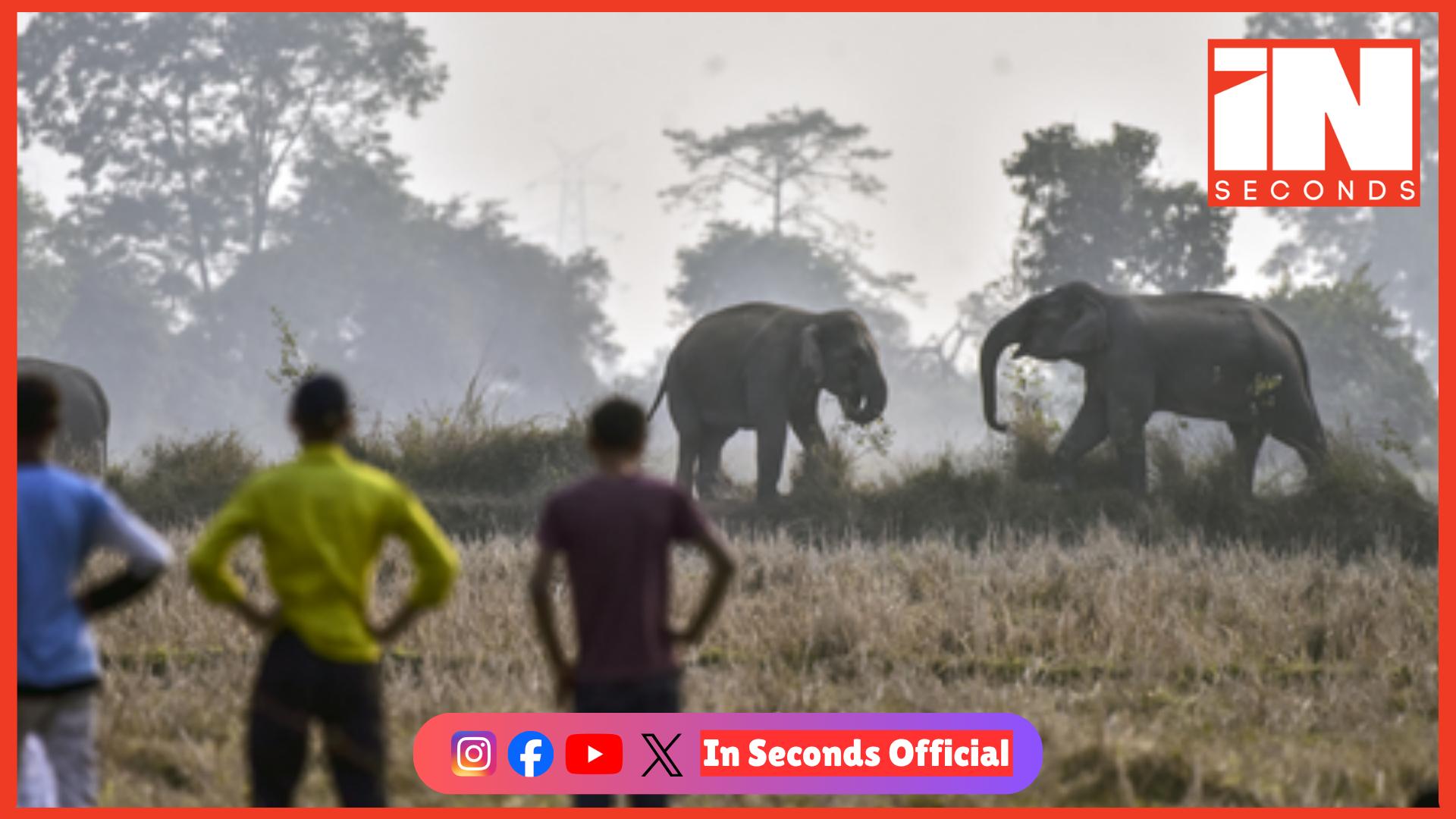 <p><strong><span style="color: rgb(224, 62, 45);" data-mce-style="color: rgb(224, 62, 45);">બિહાર : નવાદામાં જંગલી હાથીઓનો આતંક: </span>30 વર્ષીય યુવાનનું કચડાઈ જવાથી મોત, ડ્રોનથી સર્ચ ઓપરેશન શરૂ</strong></p>