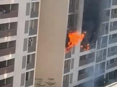 <p><span style="color: rgb(224, 62, 45);" data-mce-style="color: rgb(224, 62, 45);"><strong>અમદાવાદ : સ્કાયસિટી રિવેરામાં અગ્નિકાંડ, </strong></span>ફાયર બ્રિગેડની 12 ગાડીઓનો કાફલો ઘટનાસ્થળે, ત્રીજા માળેથી પ્રસરી આગ</p>