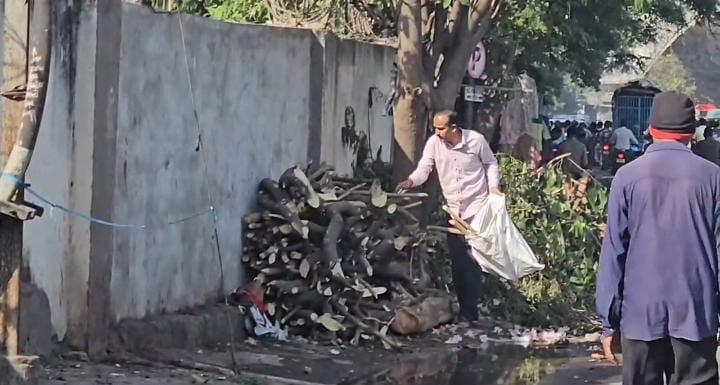 <p><span style="color: rgb(224, 62, 45);" data-mce-style="color: rgb(224, 62, 45);"><strong>સુરતમાં લાકડાનો ઢગલો જોઈ વાહનચાલકની દાનત બગડી,</strong></span> બાઈક ઉભી રાખી આખું પોટલું ભરી લીધું!</p>