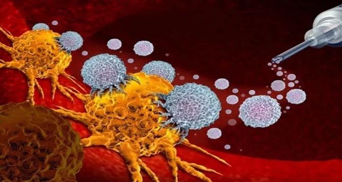 <p><span style="color: rgb(224, 62, 45);" data-mce-style="color: rgb(224, 62, 45);"><strong>કેન્સરના દર્દી માટે કીમોથેરાપી કરતા ઇમ્યુનોથેરાપી કેવી રીતે અલગ છે?</strong></span> જાણો તેની આડઅસરો અને ફાયદા</p>