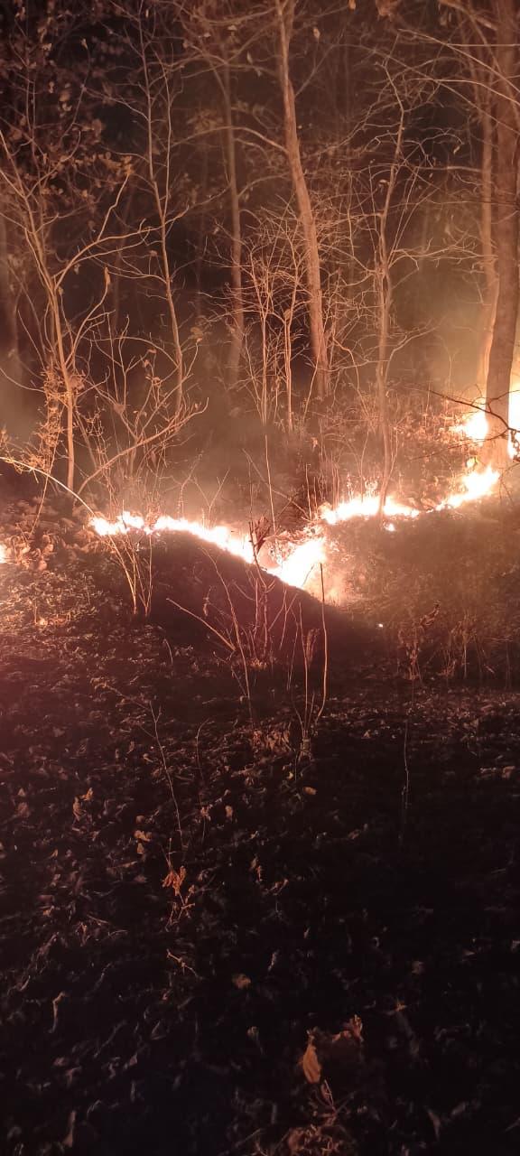 <p><span style="color: rgb(224, 62, 45);" data-mce-style="color: rgb(224, 62, 45);"><strong>સેવા, સુરક્ષા અને શાંતિનું જીવંત ઉદાહરણ : </strong></span>ડાંગ LCBની ટીમે પીંપરીના જંગલમાં ભભૂકેલી આગ પર મેળવ્યો કાબૂ...</p>