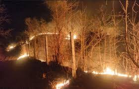 <p><strong><span style="color: rgb(224, 62, 45);" data-mce-style="color: rgb(224, 62, 45);">નસવાડીના કુકરદા જંગલમાં ભીષણ આગ:</span> વન વિભાગ અને ગ્રામજનોએ મેળવ્યો કાબુ</strong></p>