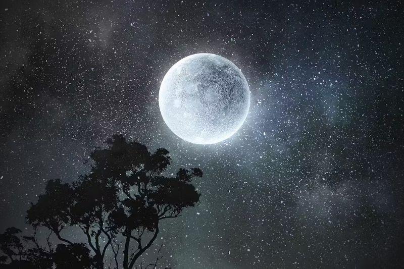 <p><span style="color: rgb(224, 62, 45);" data-mce-style="color: rgb(224, 62, 45);">ક્યારે છે ચૈત્ર પૂર્ણિમા?</span> આજે જ તારીખ, મુહૂર્ત અને વ્રતની તિથિ નોંધી લો</p>