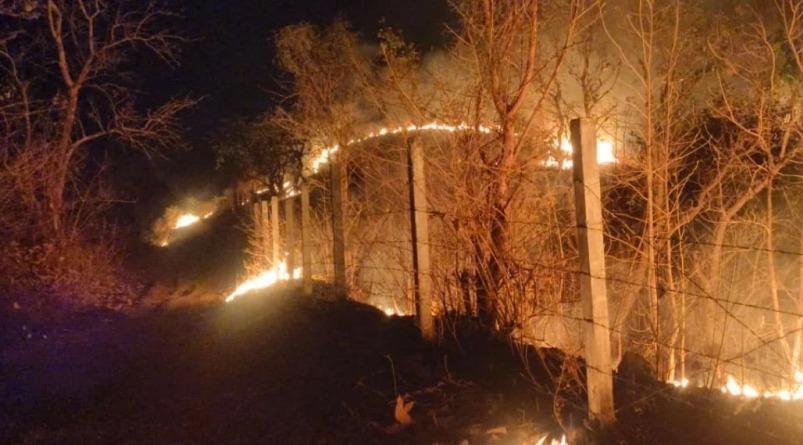 <p><strong><span style="color: rgb(224, 62, 45);">છોટા ઉદેપુરના જામલી જંગલમાં ભીષણ આગ,</span></strong> વન્યજીવોના જીવ જોખમમાં.....</p>