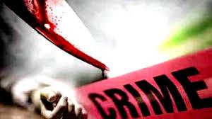 <p><strong><span style="color: rgb(224, 62, 45);" data-mce-style="color: rgb(224, 62, 45);">આગિયોલમાં લોહીયાળ ખેલ:</span> વૃદ્ધની હત્યા કરી ભાગેલા આરોપીની પણ શંકાસ્પદ હાલતમાં લાશ મળી</strong></p>