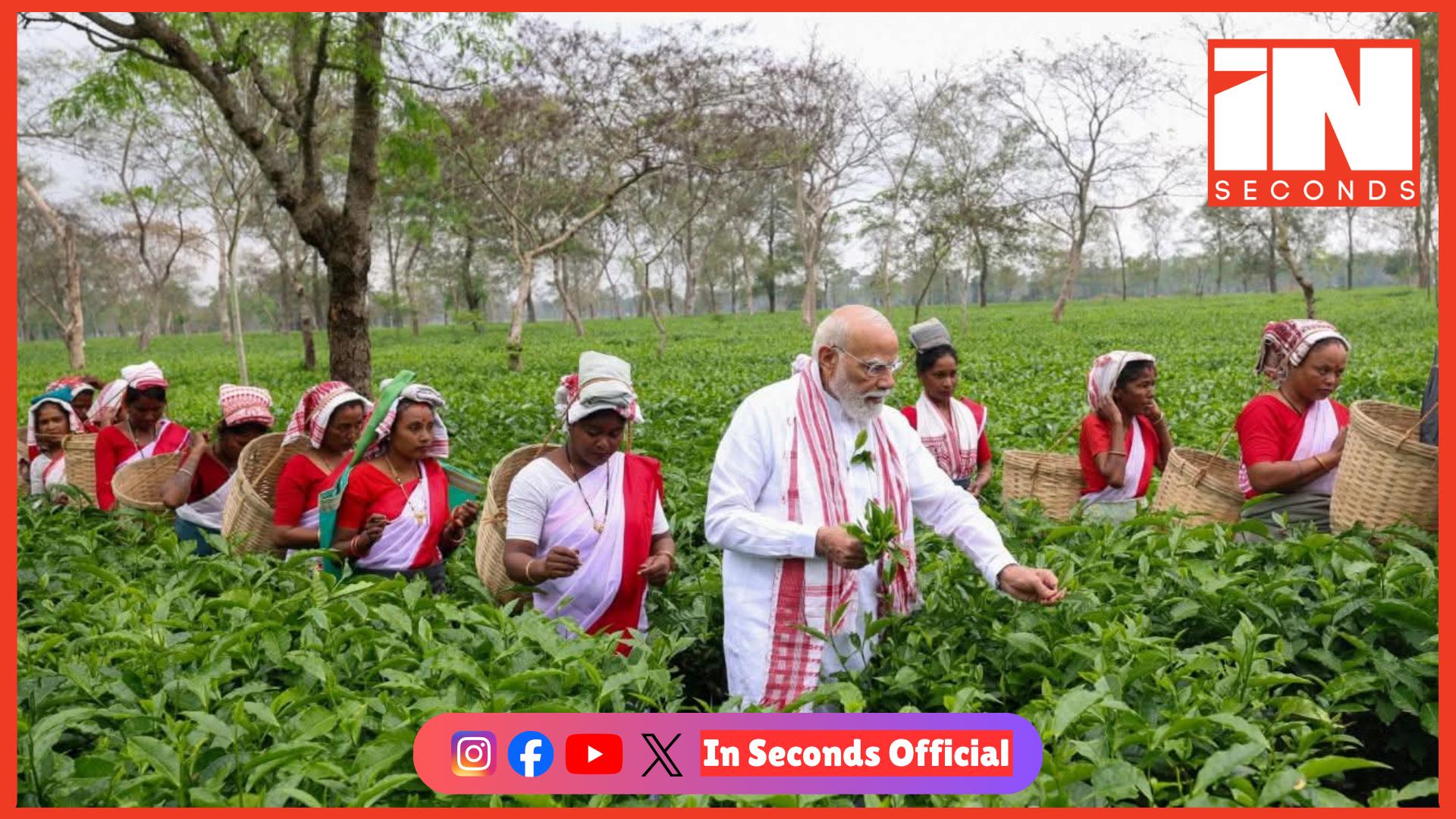 <p data-path-to-node="0"><strong data-path-to-node="0" data-index-in-node="0"><span style="color: rgb(224, 62, 45);">વડાપ્રધાન મોદીની આસામ મુલાકાત:</span> દિબ્રુગઢના ચાના બગીચામાં પત્તા તોડ્યા, શ્રમિકો સાથે કર્યો સંવાદ</strong></p>