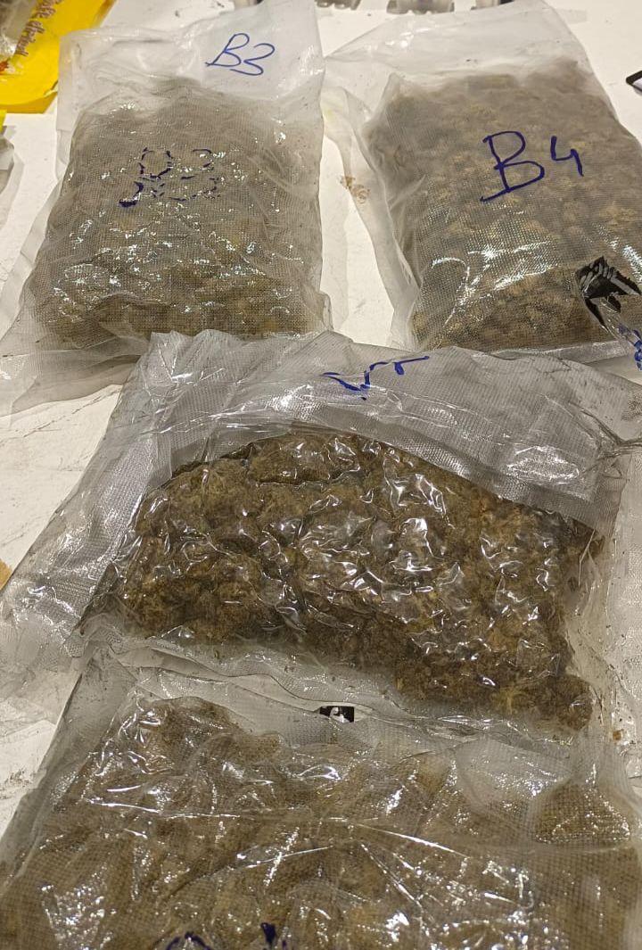 <p><span style="color: rgb(224, 62, 45);" data-mce-style="color: rgb(224, 62, 45);"><strong>અમદાવાદ એરપોર્ટ પર કસ્ટમ્સની મોટી કાર્યવાહી : </strong></span>બેંગકોકથી 'હાઈડ્રોપોનિક ગાંજા' સાથે બે મુસાફરો ઝડપાયા...</p>