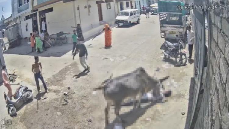 <p><span style="color: rgb(224, 62, 45);" data-mce-style="color: rgb(224, 62, 45);"><strong>વેરાવળમાં રખડતા ઢોરનો આંતક : </strong></span>આખલાએ યુવાન પર કર્યો હુમલો,  <strong>ગંભીર હાલતમાં હોસ્પિટલ ખસેડાયો...</strong></p>