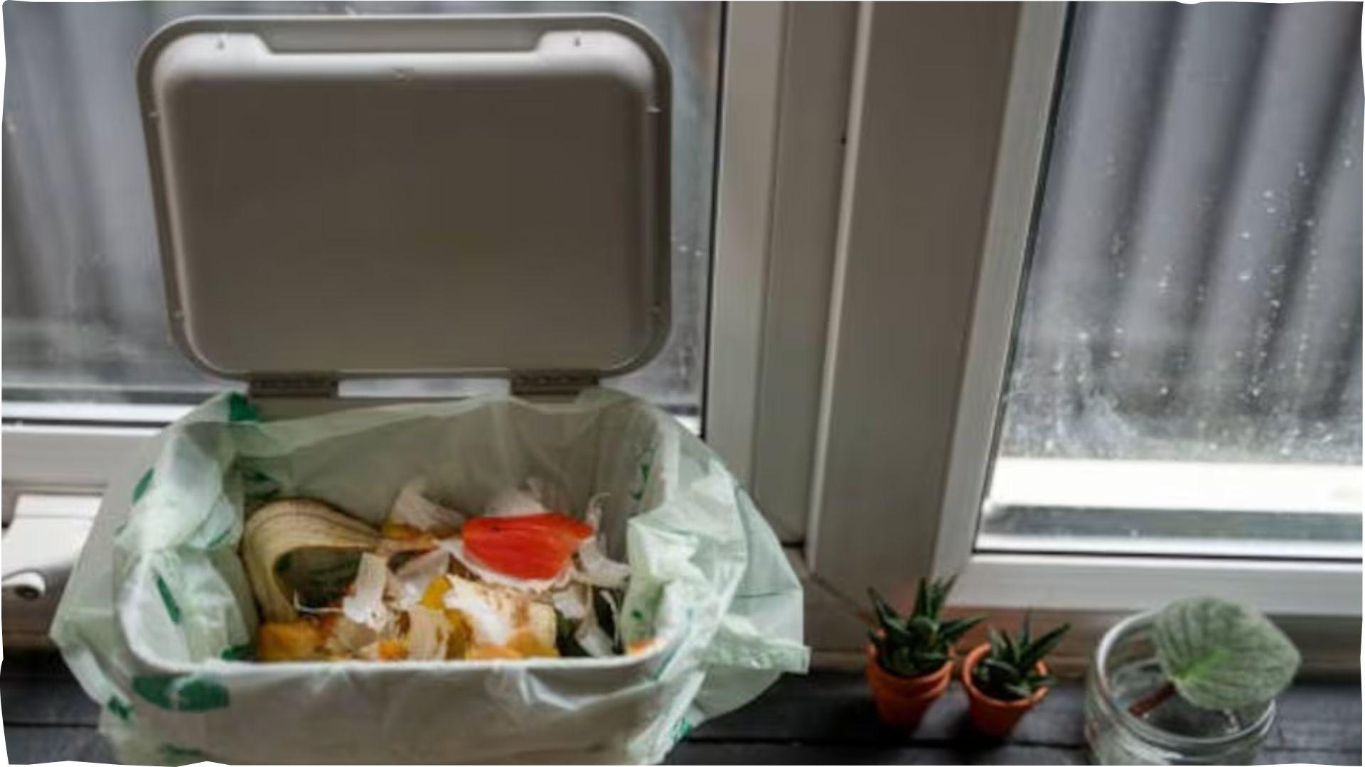 <p><span style="color: rgb(224, 62, 45);" data-mce-style="color: rgb(224, 62, 45);">ઘરની આ દિશામાં ન રાખો ડસ્ટબિન,</span> નહીંતર કંગાલ થઈ જશો</p>