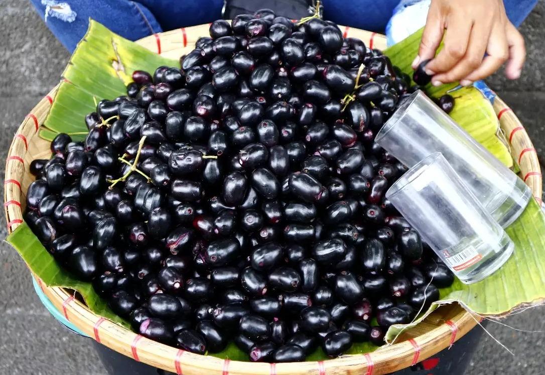 <p><span style="color: rgb(224, 62, 45);" data-mce-style="color: rgb(224, 62, 45);"><strong>ઉનાળામાં અમૃત સમાન છે આ 'કાળું ફળ', </strong></span>અઢળક ફાયદા જાણ્યા પછી તમે પણ ખાવાનું શરૂ કરી દેશો!</p>