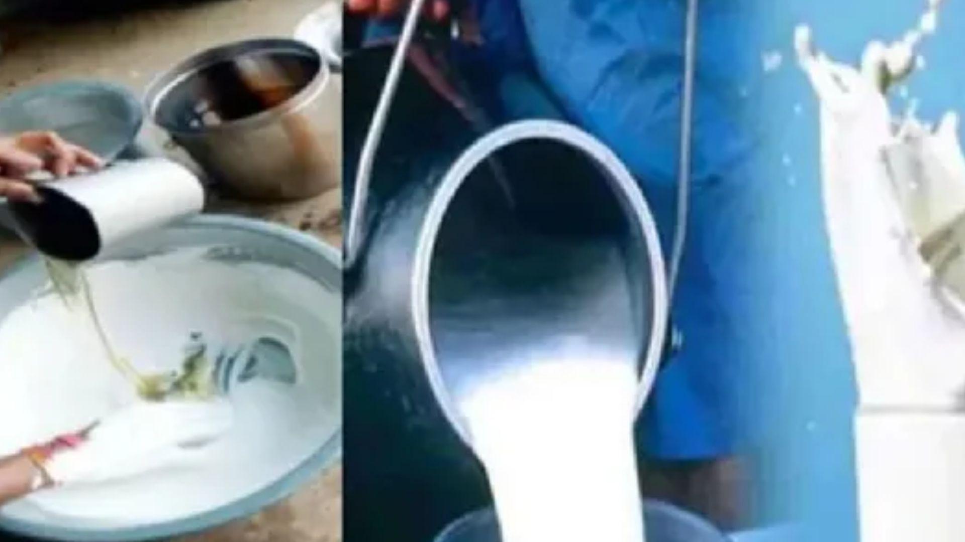 <p><span style="color: rgb(224, 62, 45);" data-mce-style="color: rgb(224, 62, 45);">દર વર્ષે ફેલ થાય છે ખાદ્ય સેમ્પલ, </span>ફૂડ ક્વોલિટીમાં ભારત 80મા સ્થાને; કેમ નથી રોકાતી મિલાવટખોરી?</p>