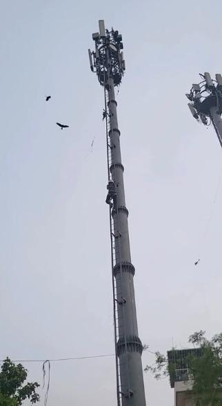 <p><span style="color: rgb(224, 62, 45);" data-mce-style="color: rgb(224, 62, 45);"><strong>ઉતરાયણ પૂરી થઈ પણ જોખમ યથાવત : </strong></span>નરોડામાં મોબાઈલ ટાવર પર લટકતી દોરીમાં ફસાઈ સમડી, <strong>રેસ્ક્યુ ટીમે ટાવર પર ચડી પક્ષીને નવજીવન આપ્યું... </strong></p>