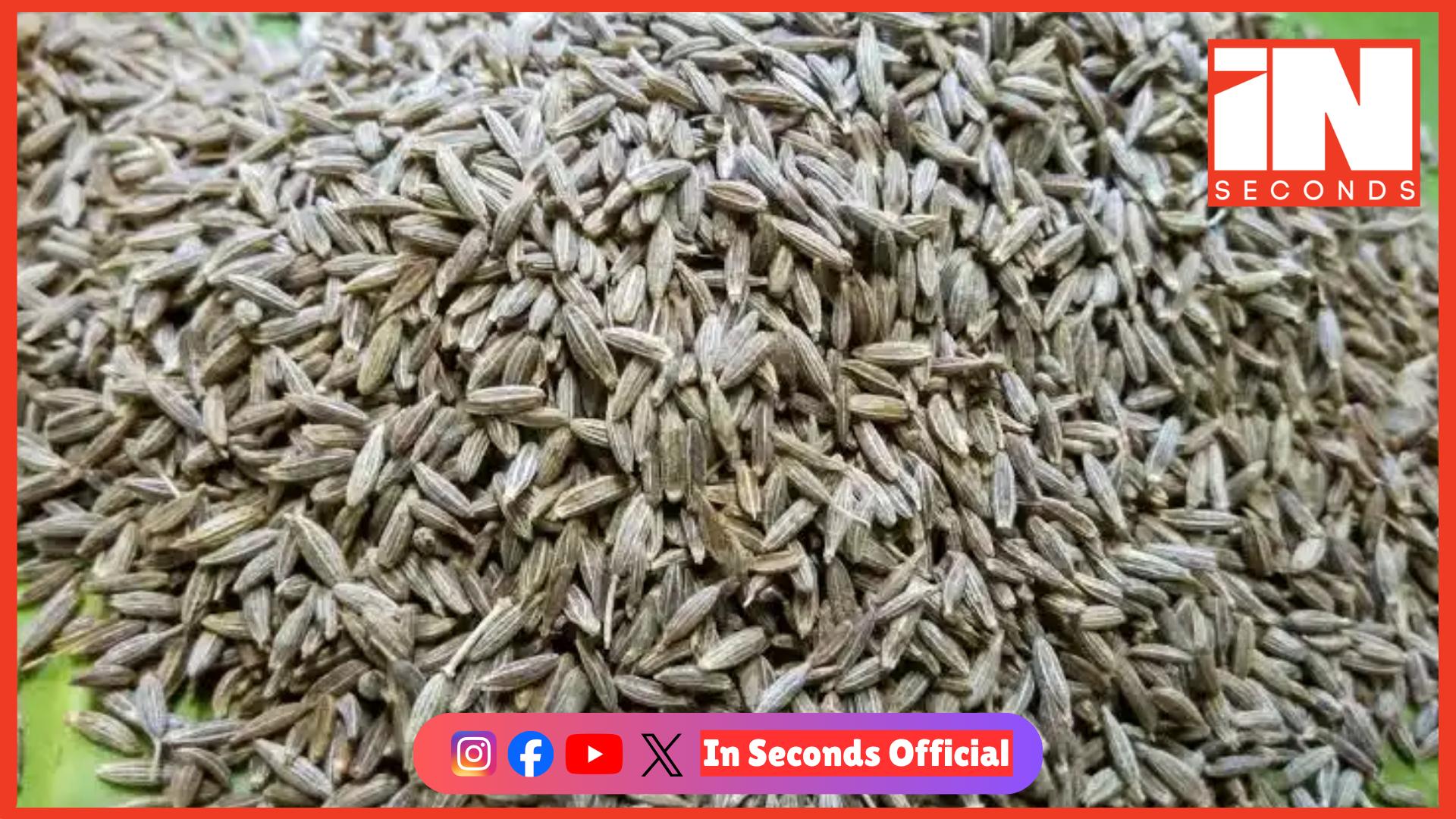 <p><strong><span style="color: rgb(224, 62, 45);" data-mce-style="color: rgb(224, 62, 45);">ઊંઝા ગંજ બજારમાં મસાલા પાકોની મબલખ આવક: </span>જીરાની 55,000 બોરીની આવક છતાં યુદ્ધને કારણે નિકાસ ઠપ્પ</strong></p>