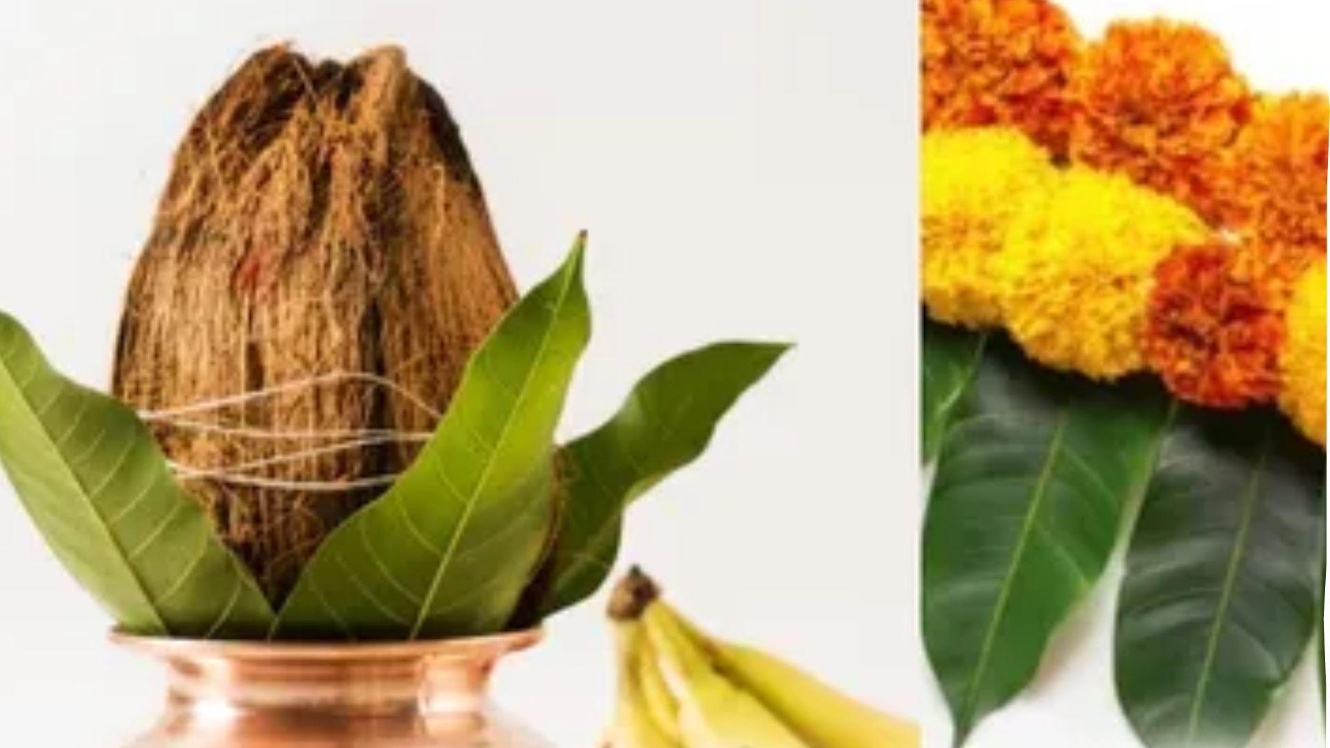 <p><span style="color: rgb(224, 62, 45);" data-mce-style="color: rgb(224, 62, 45);">કેરીના પાંદડા વગર અધૂરુ છે દરેક માંગલિક કાર્ય!</span> જાણો તેનું મહત્વ અને કેમ કરવું જોઈએ આ કામ</p>