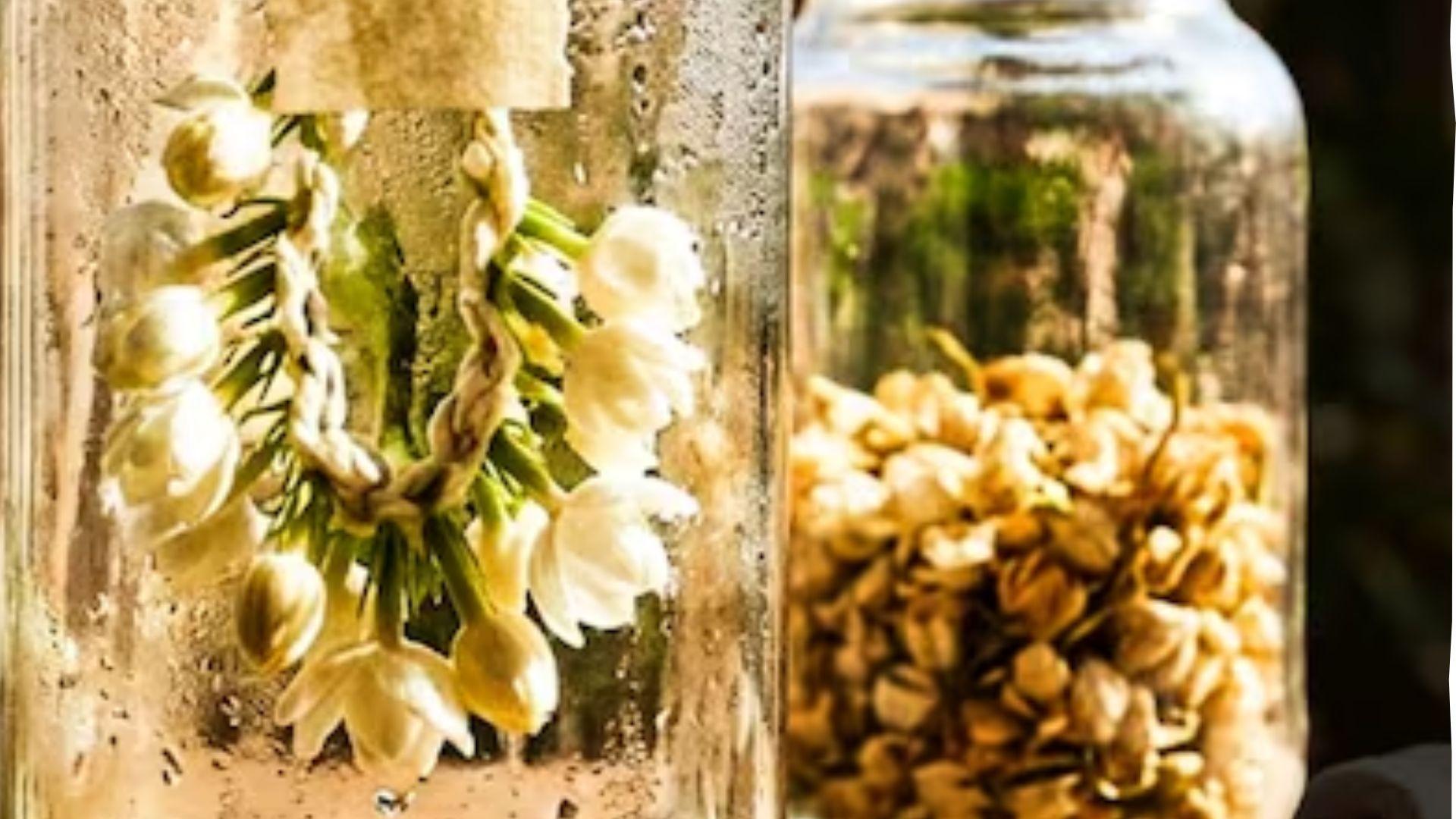 <p><span style="color: rgb(224, 62, 45);" data-mce-style="color: rgb(224, 62, 45);">પરસેવાની બદબૂ થશે છુમંતર! </span>ઘરે જ મોગરાના ફૂલોથી બનાવો દેશી ઇત્ર, મોંઘા પર્ફ્યુમ પણ થઈ જશે ફેલ</p>