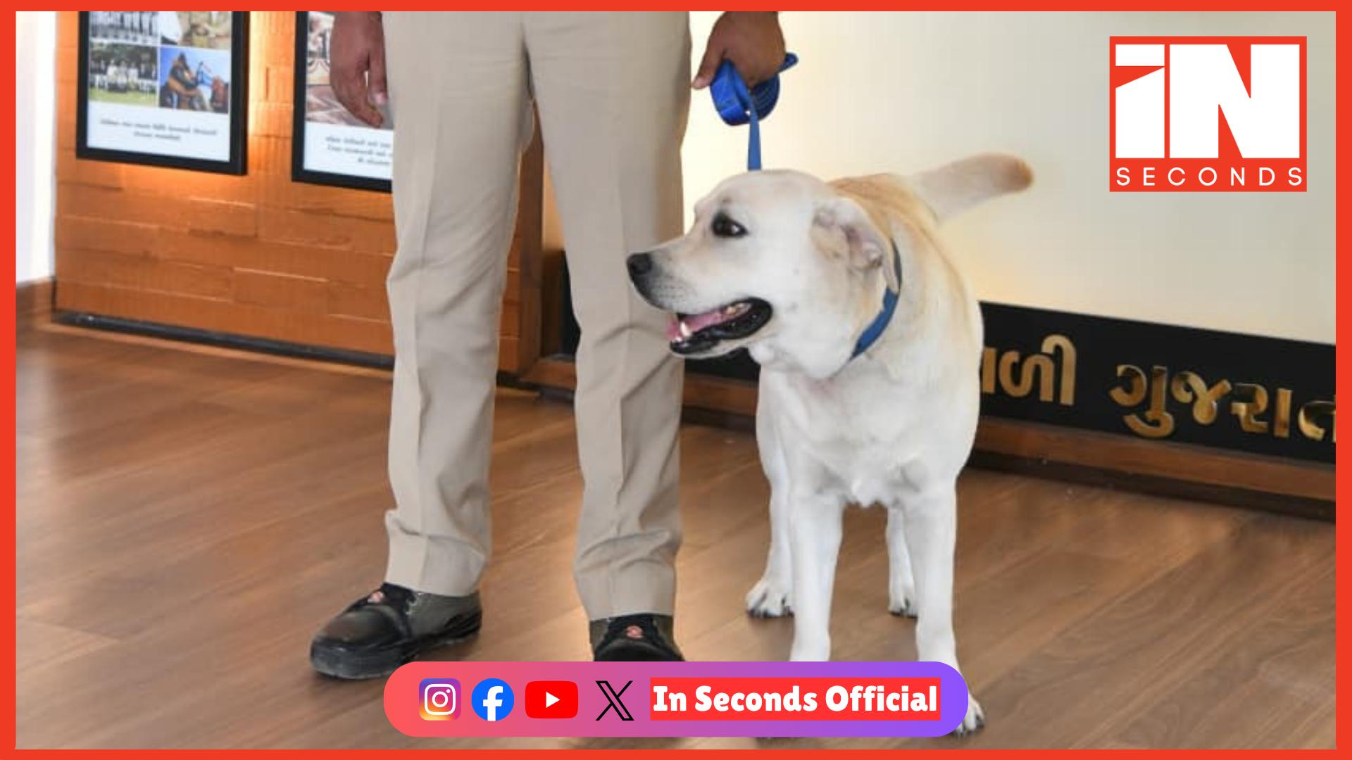 <p><strong><span style="color: rgb(224, 62, 45);" data-mce-style="color: rgb(224, 62, 45);">ગુજરાત પોલીસના ‘ચેક’ ડોગે ટ્રેકિંગમાં ગોલ્ડ-ઓવરઓલમાં બ્રોન્ઝ જીત્યો,</span> 16 વર્ષ પછી રાજ્યને ગોલ્ડ મળ્યો</strong></p>