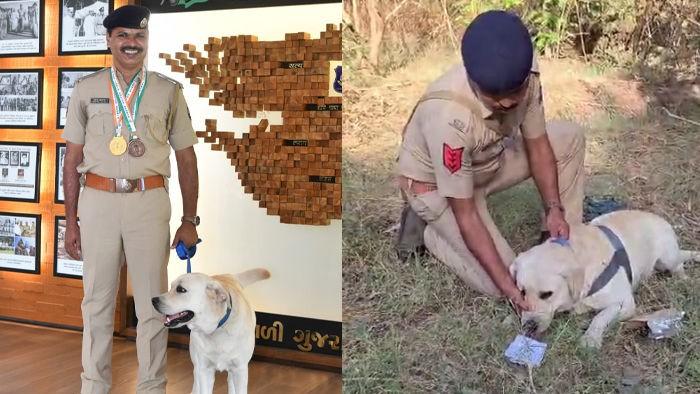 <p><span style="color: rgb(224, 62, 45);" data-mce-style="color: rgb(224, 62, 45);"><strong>શાબાશ 'ચેક': </strong></span>ઓલ ઇન્ડિયા પોલીસ ડ્યુટી મીટમાં ગુજરાત પોલીસના ડોગ સ્ક્વોડની ઐતિહાસિક સિદ્ધિ</p>